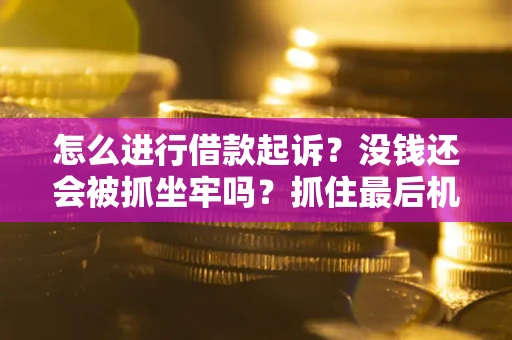 济南怎么进行借款起诉？没钱还会被抓坐牢吗？抓住最后机会！
