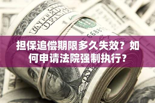 济南担保追偿期限多久失效？如何申请法院强制执行？